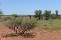 03 Près de Meteorite Craters