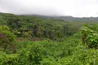 36 Nord de Poutoru - Tahaa