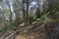 45 Sur les pentes du Mont Thabor