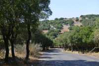 13 Mont Carmel près du couvent