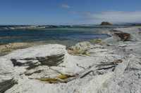 077 Péninsule de Kaikura B*