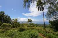 083 Sur les hauteurs du plateau de Taravao B