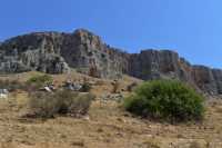 08 Arbel