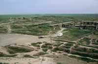 541 Nimroud - Palais d'Assurnasirpal