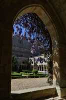 16 Cloître - Abbaye de Fontfroide
