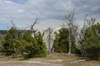 68 White Elephant Back Terrace