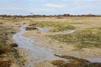 115 Nord de la grande grève