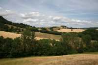 33 - Nord de Sylvanès.jpg