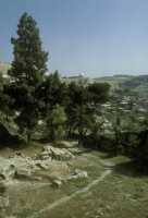 175 Jérusalem, St.Pierre in Gallicantu