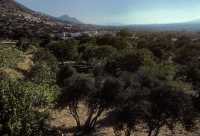 005 Près d'Antioche