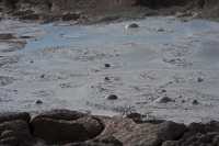 30 Fountain Paint Pot