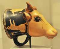 269 Rhyton en forme de tête de taureau - Attique - Figures rouges (460±)