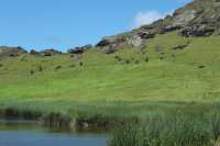 20 Moai dans le cratère du volcan