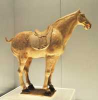 134 Cheval - Tang (618-907)