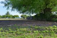 105 Marae Taputapuatea