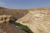 54 En Avdat - Sud vu du haut du canyon