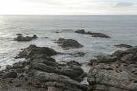 023 Otaries - Ohau Point Seal Colony