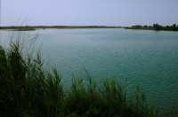 432 Euphrate ouest de Cunaxa