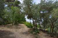 11 Abu Gosh - Qiryat Yearim - Couvent des sœurs St Joseph de l'Apparition