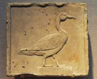 39 Oie - Egypte - 26° dynastie (664-525 BC)