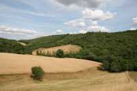 28 - Nord de Sylvanès.jpg