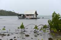 26 Murifenua - Tahaa B