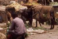 270 Damas marché rempart sud ouest