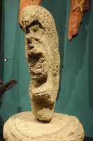 49 Divinité - Chatham Islands