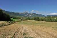 100 Entre Lalley & Treminis B