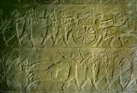 632 Ninive - Palais nord d'Assurbanipal, armée élamite