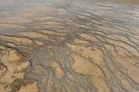 36 Grand Prismatic Spring