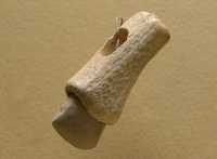111 Hache de pierre polie emmanchée dans sa gaine (La Chaussée-Tirancourt)